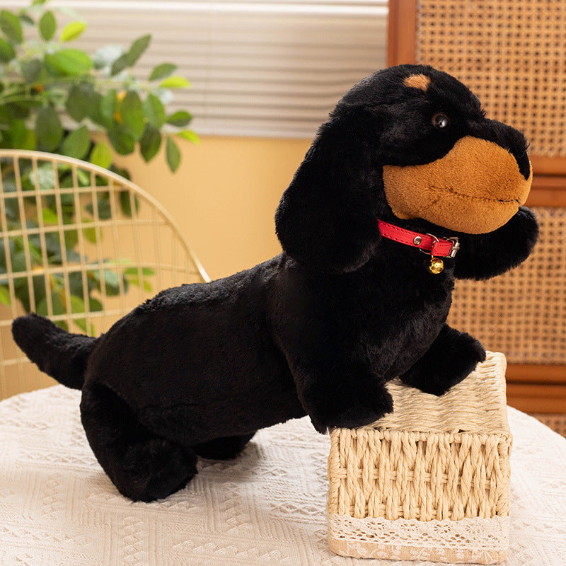 Peluche teckel coloré avec son collier rouge