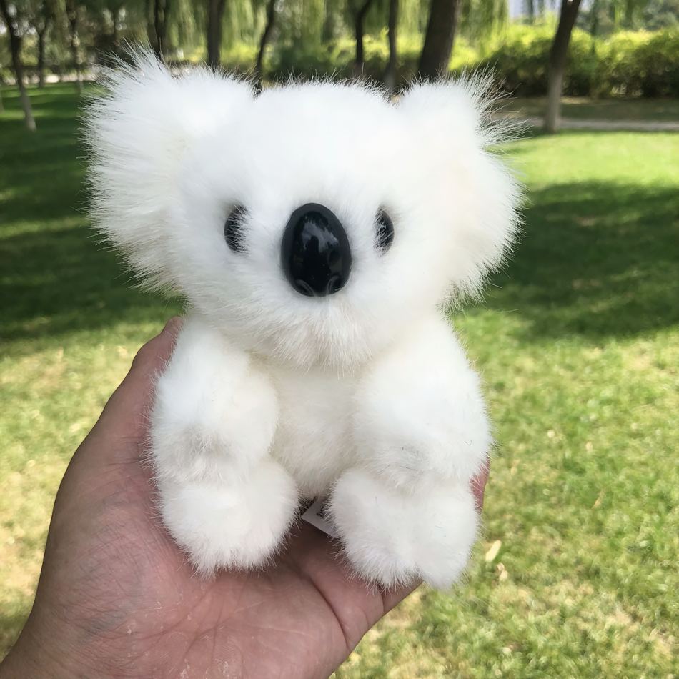 Peluche koala doux poilu câlin pour enfants