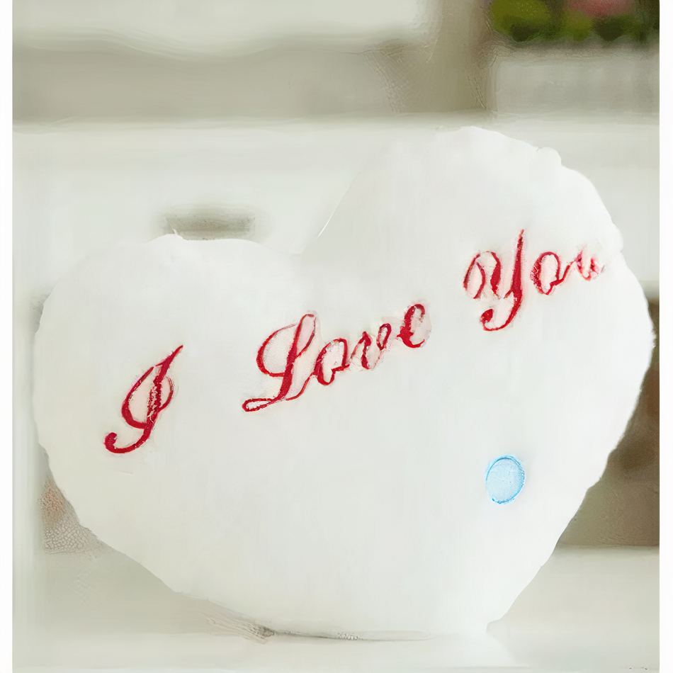 Peluche oreiller blanc douce amour message câlin romantique