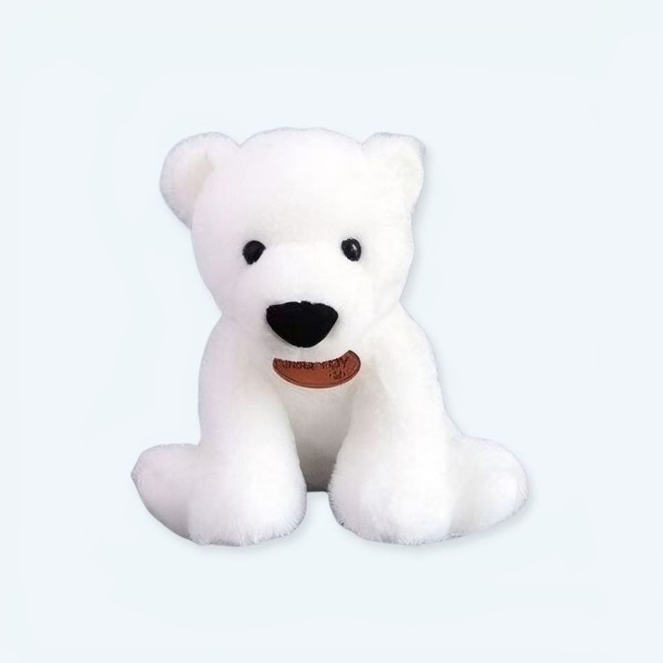 Peluche ours câlin ultra moelleux pour enfant chambre