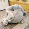 peluche dauphin