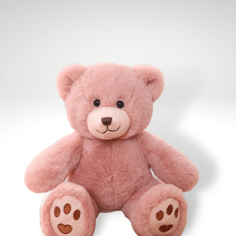 Ours en peluche petit câlin et mignon