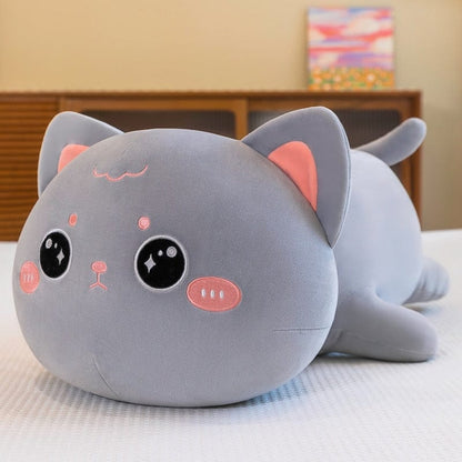 Peluche chat à câlins rondelet