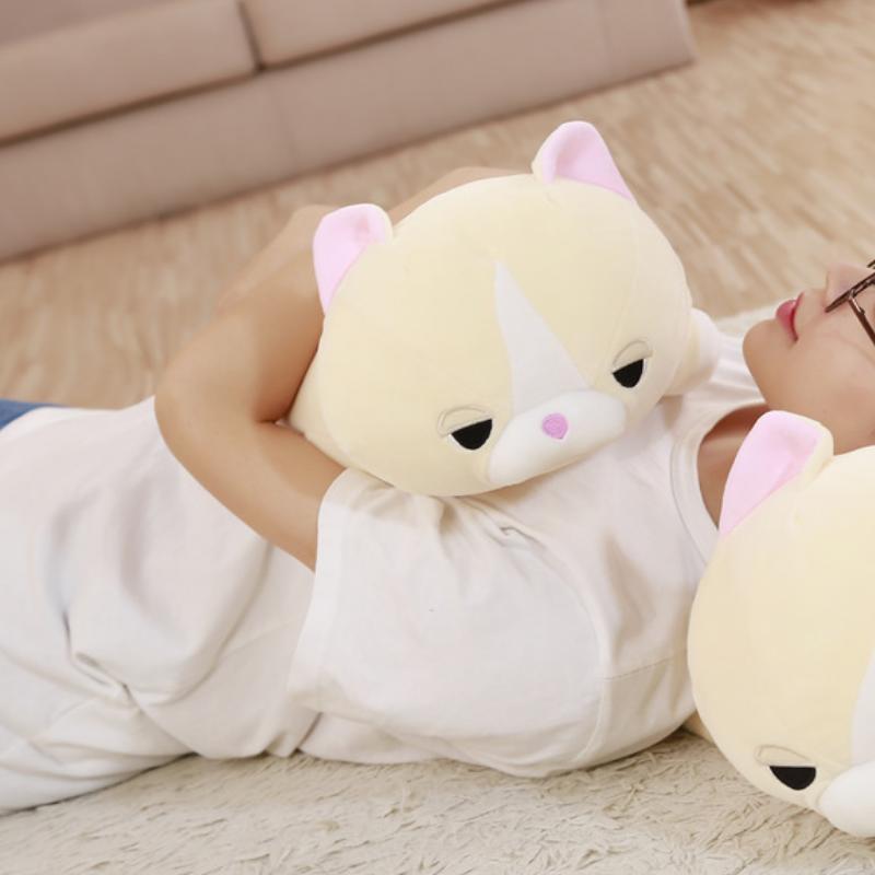 Peluche chat assoupi doux cocon confort maison