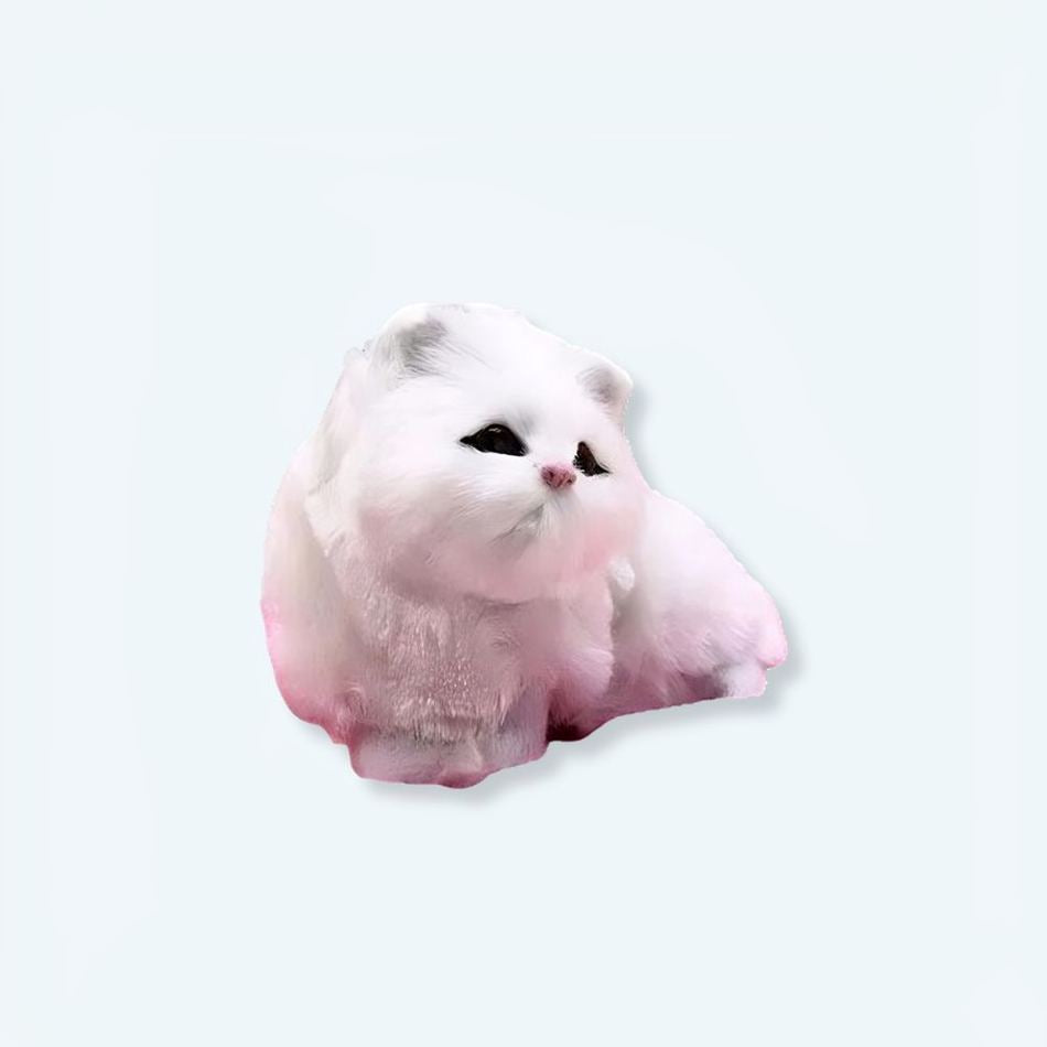 Peluche chat blanc doux câlin animal mignon collection