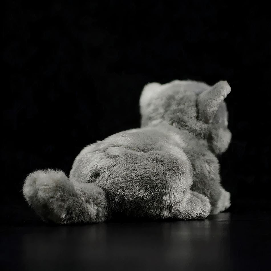 Peluche chat britannique gris doux câlin enfant