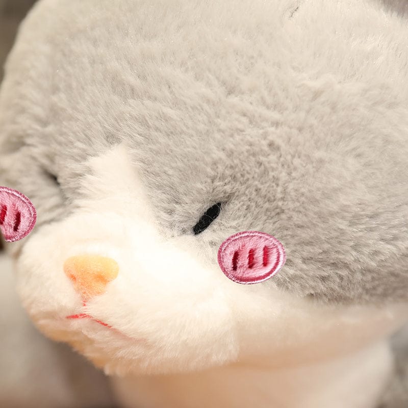 Peluche chat croisé avec un requin