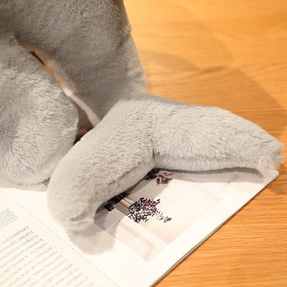 Peluche chat croisé avec un requin