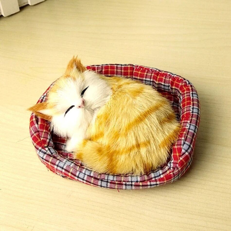 Peluche chat endormi doux câlin univers apaisant
