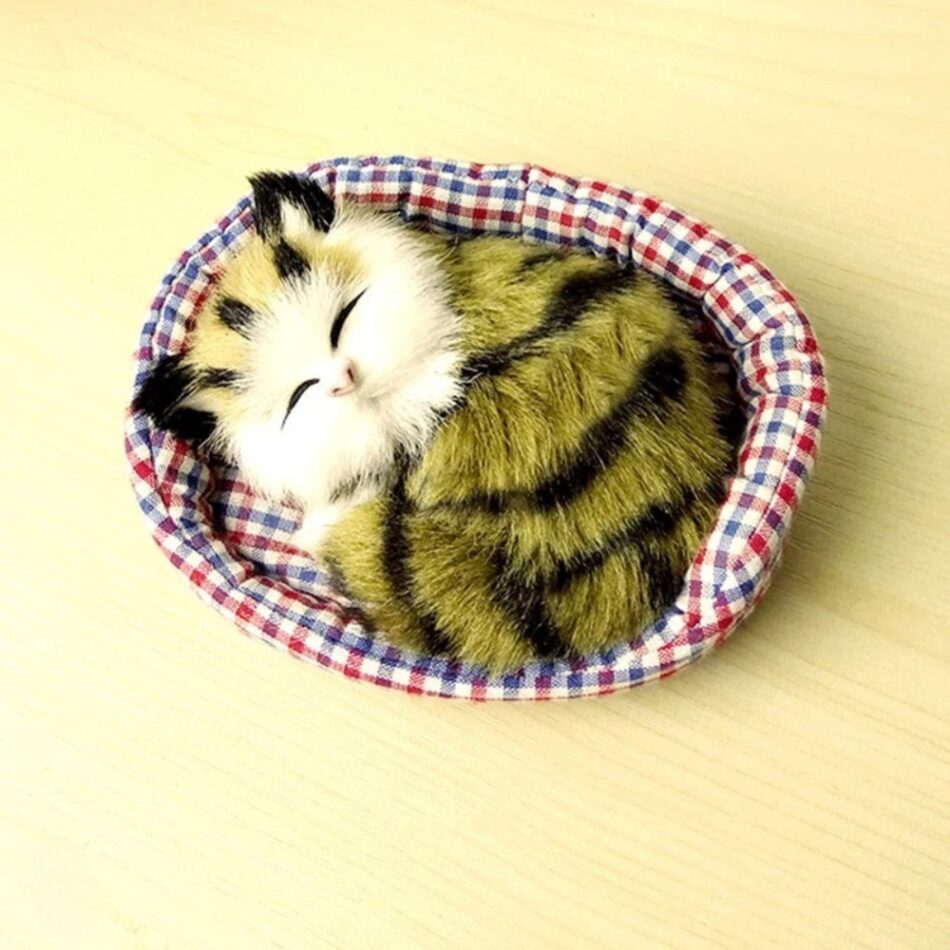 Peluche chat endormi doux câlin univers apaisant