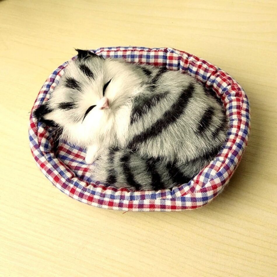 Peluche chat endormi doux câlin univers apaisant