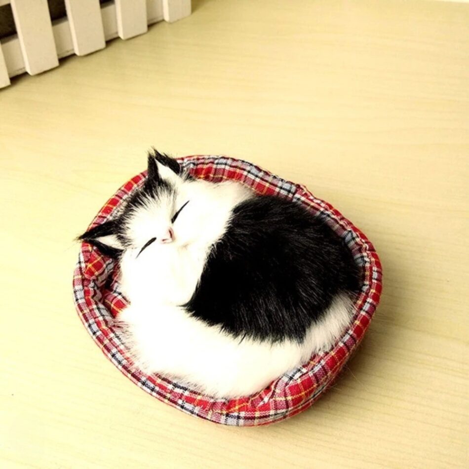 Peluche chat endormi doux câlin univers apaisant