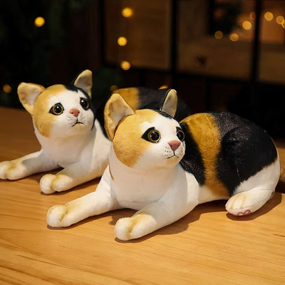 Peluche chat rayé doux compagnon enfant collection