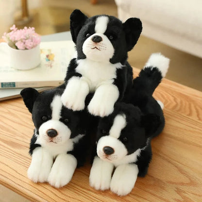 Peluche chien Border collie