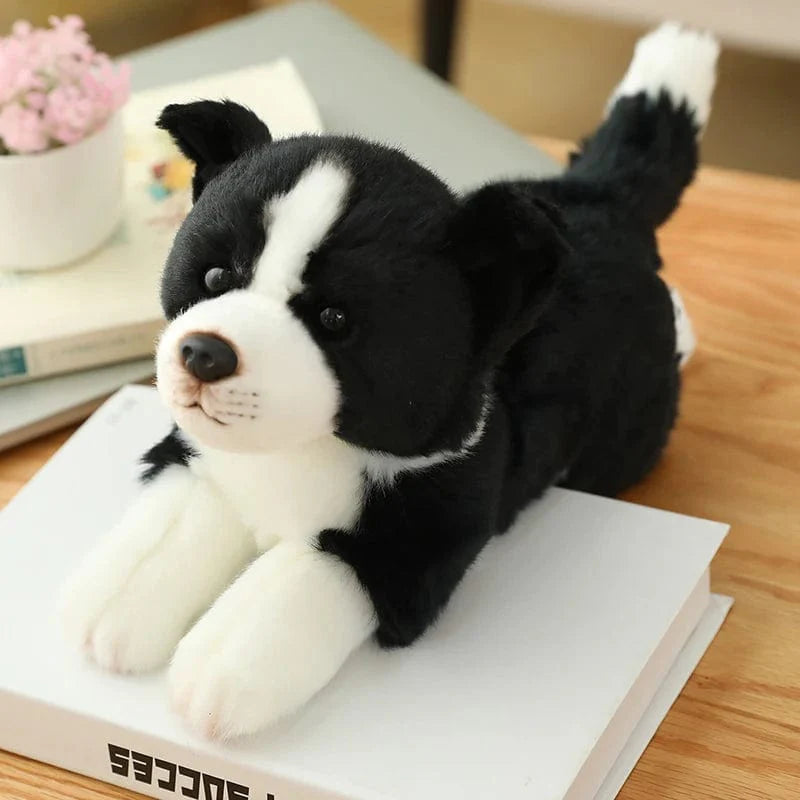 Peluche chien Border collie