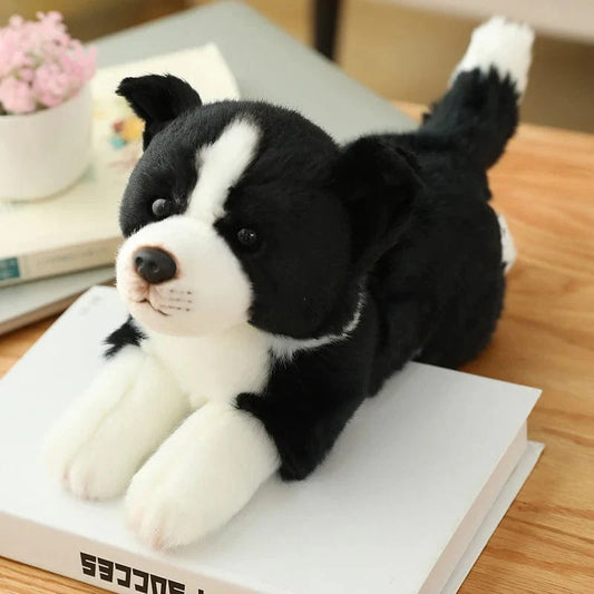 Peluche chien Border collie