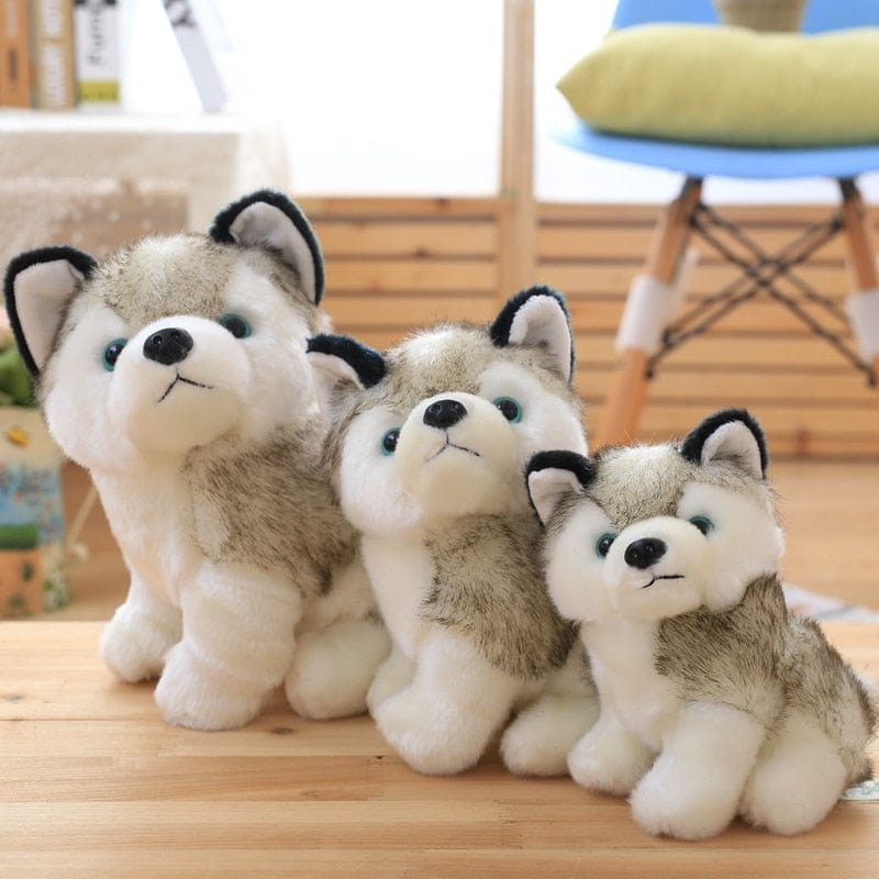 Peluche Chien Husky  Prince | Peluche World