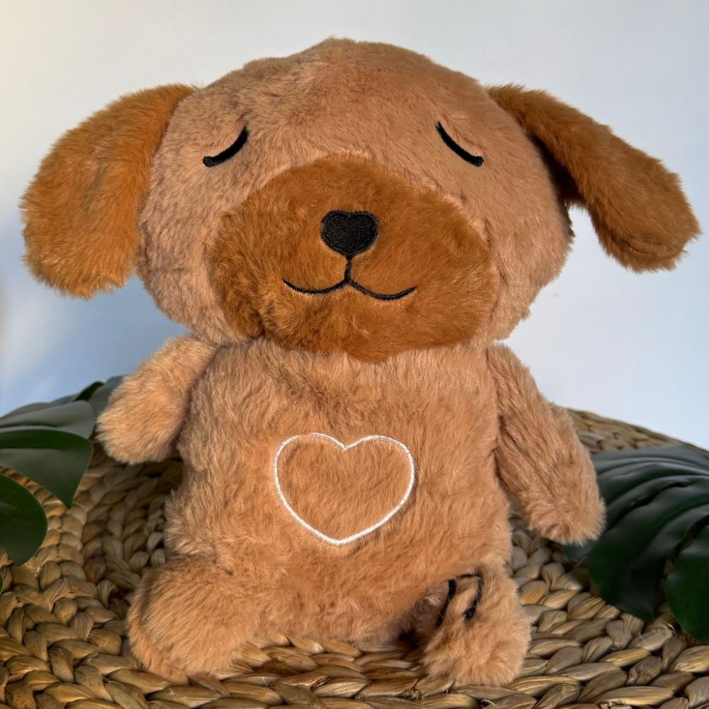 Peluche chien veilleuse douce nuit apaisante enfant