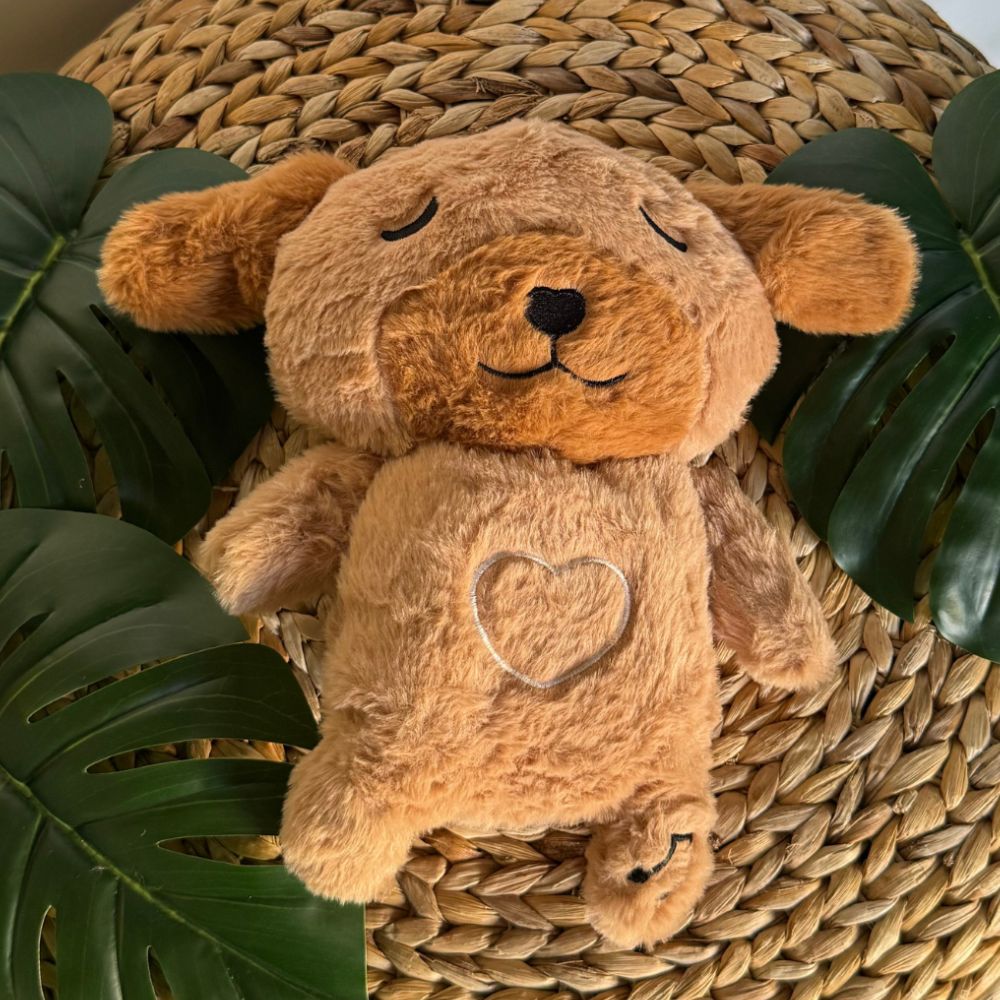Peluche chien veilleuse douce nuit apaisante enfant