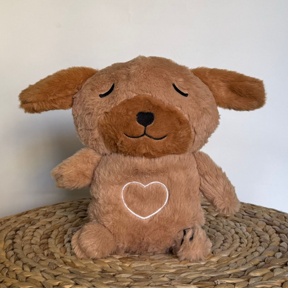 Peluche chien veilleuse douce nuit apaisante enfant