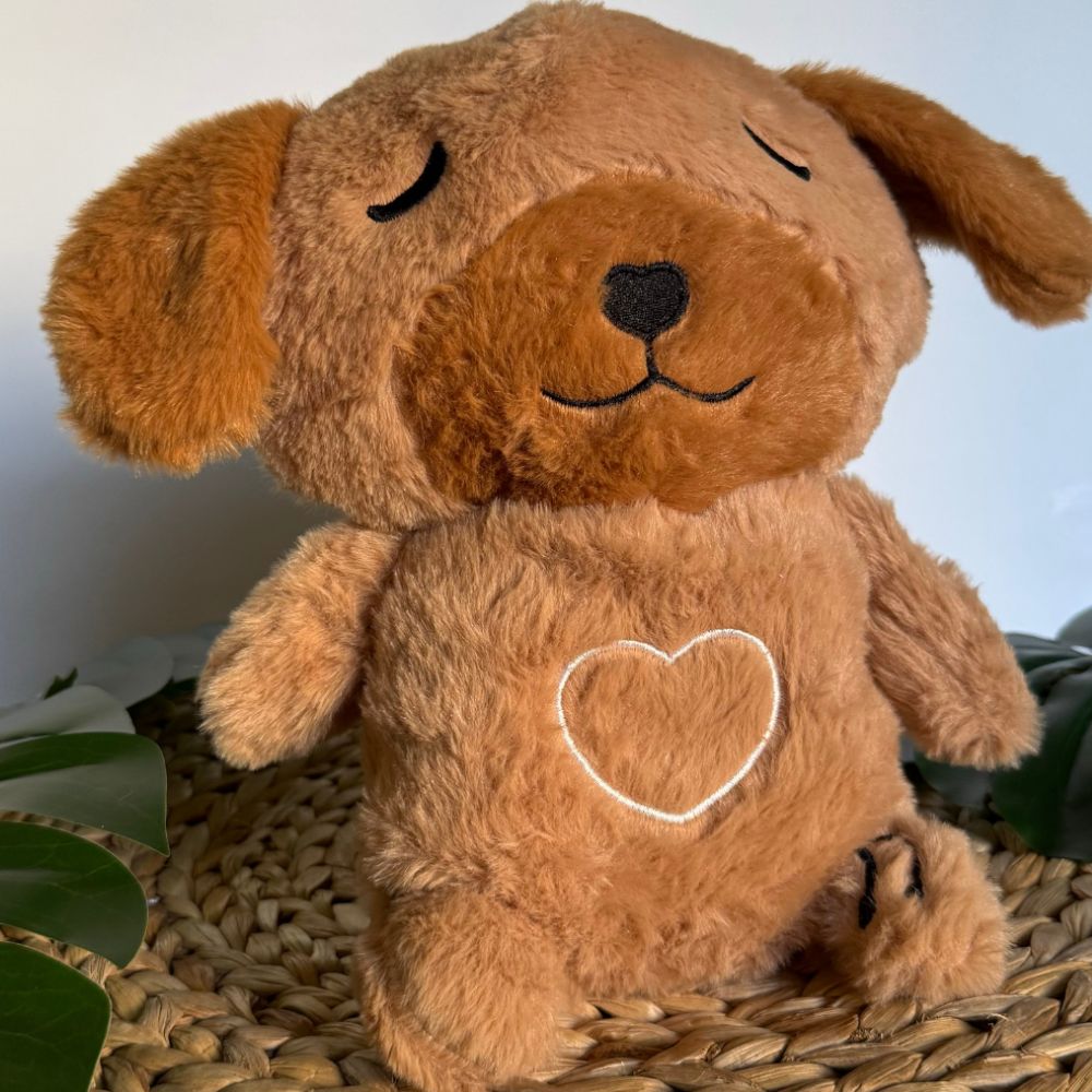 Peluche chien veilleuse douce nuit apaisante enfant