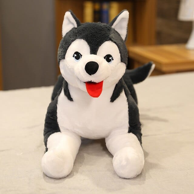 Peluche Géante Chien Husky  Buddy | Peluche World