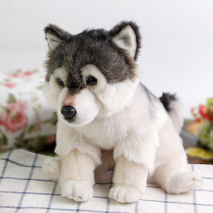Peluche loup petit et mignon