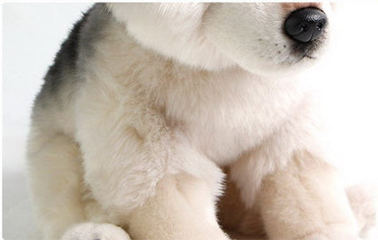 Peluche loup petit et mignon