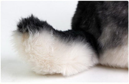 Peluche loup petit et mignon