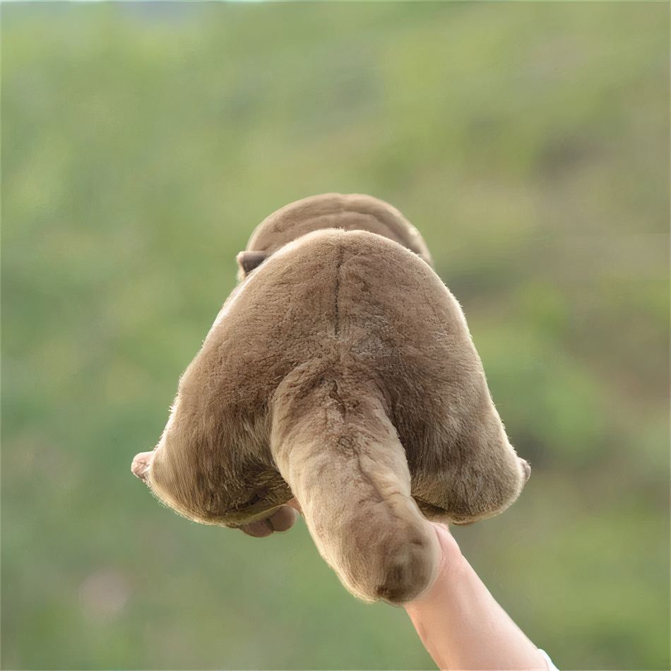 Peluche loutre réaliste douce câline pour enfant
