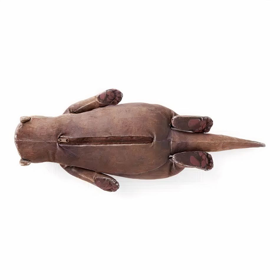 Peluche loutre trousse douce enfant cadeau original