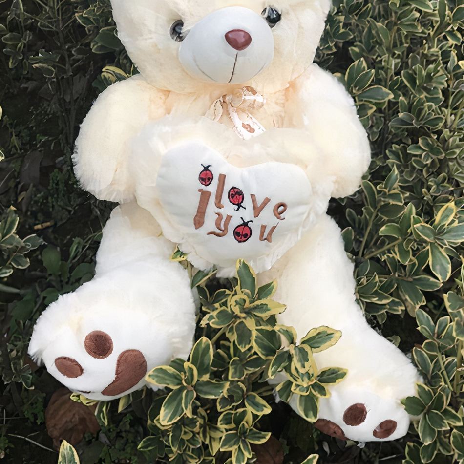 Peluche ours en peluche douce câline enfant poilu