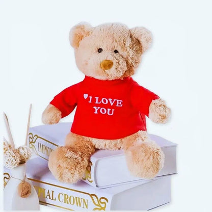 Peluche ourson doux message amour cadeau romantique
