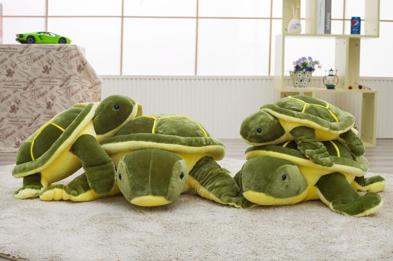 Peluche Tortue De Terre  Éclos | Peluche World