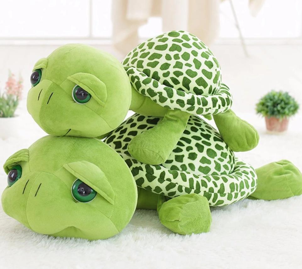 Peluche Tortue Géante  Tortuga | Peluche World 20 cm